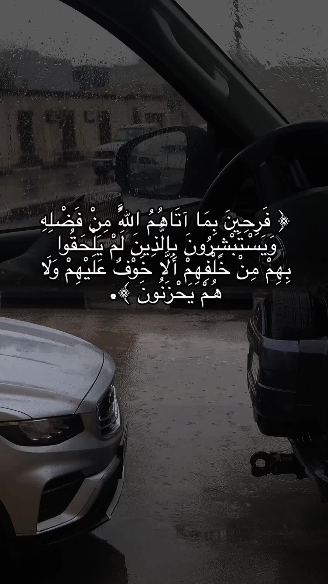@شِين 🐈