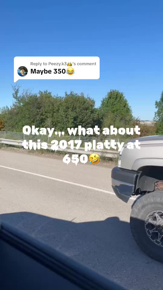 @mitten_performance