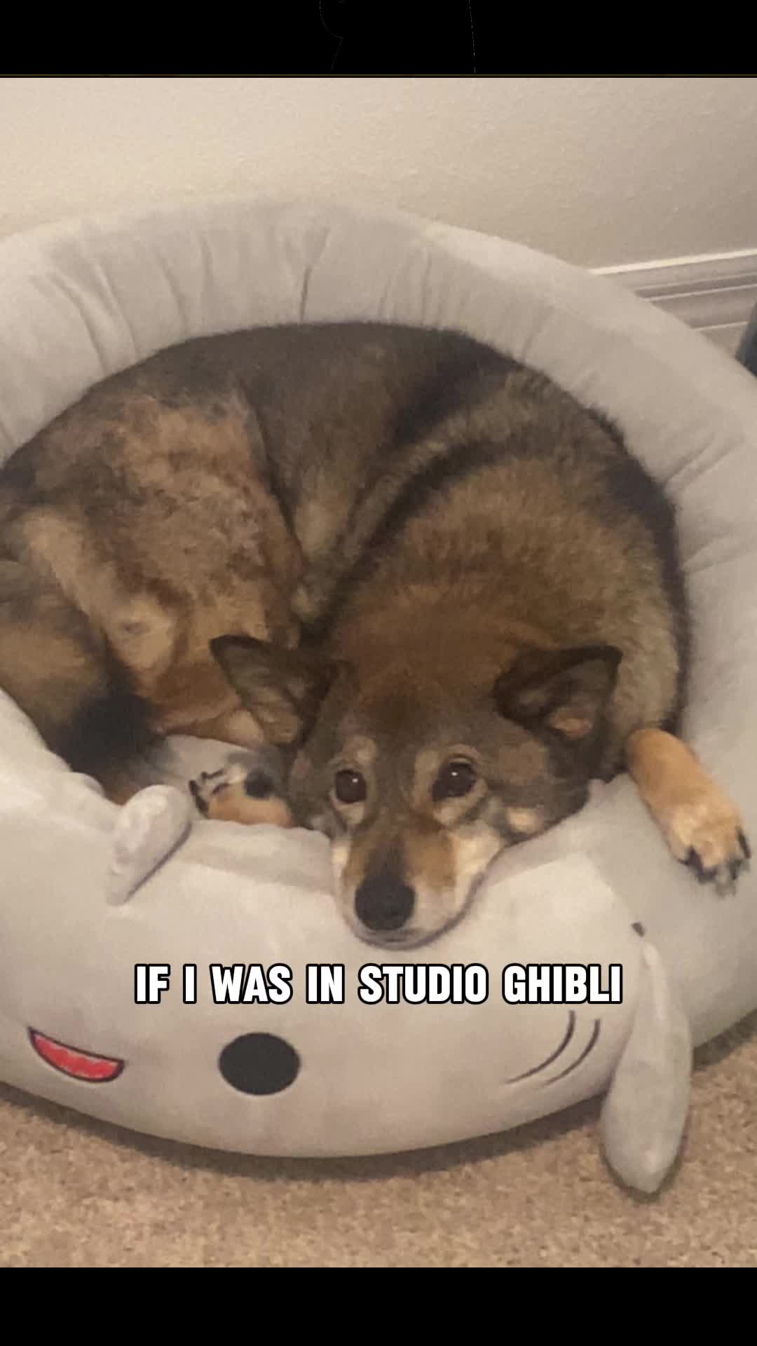 @Mako