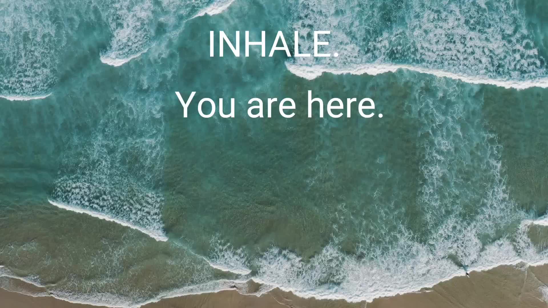 @louise