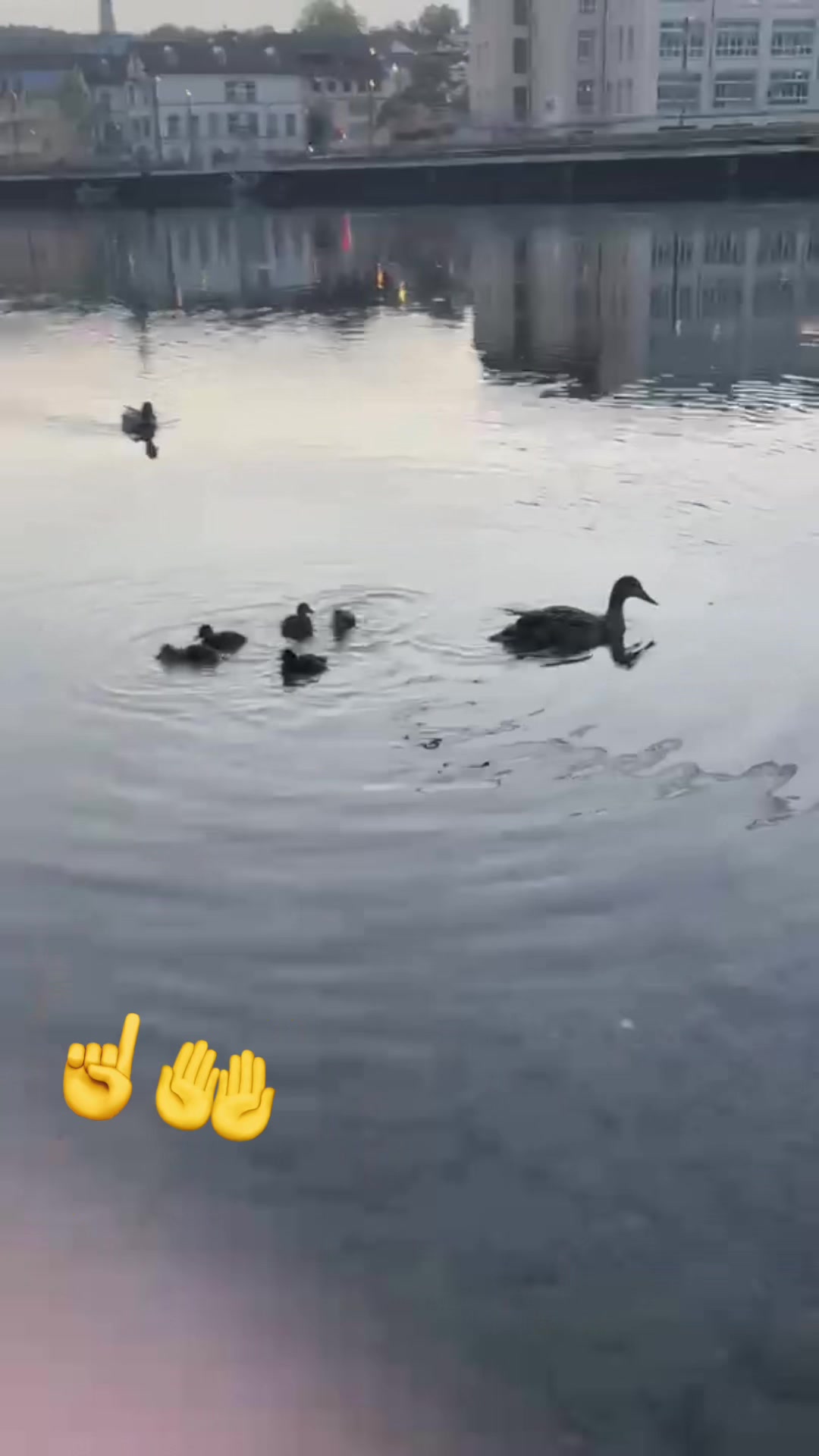 @Besa Zürich