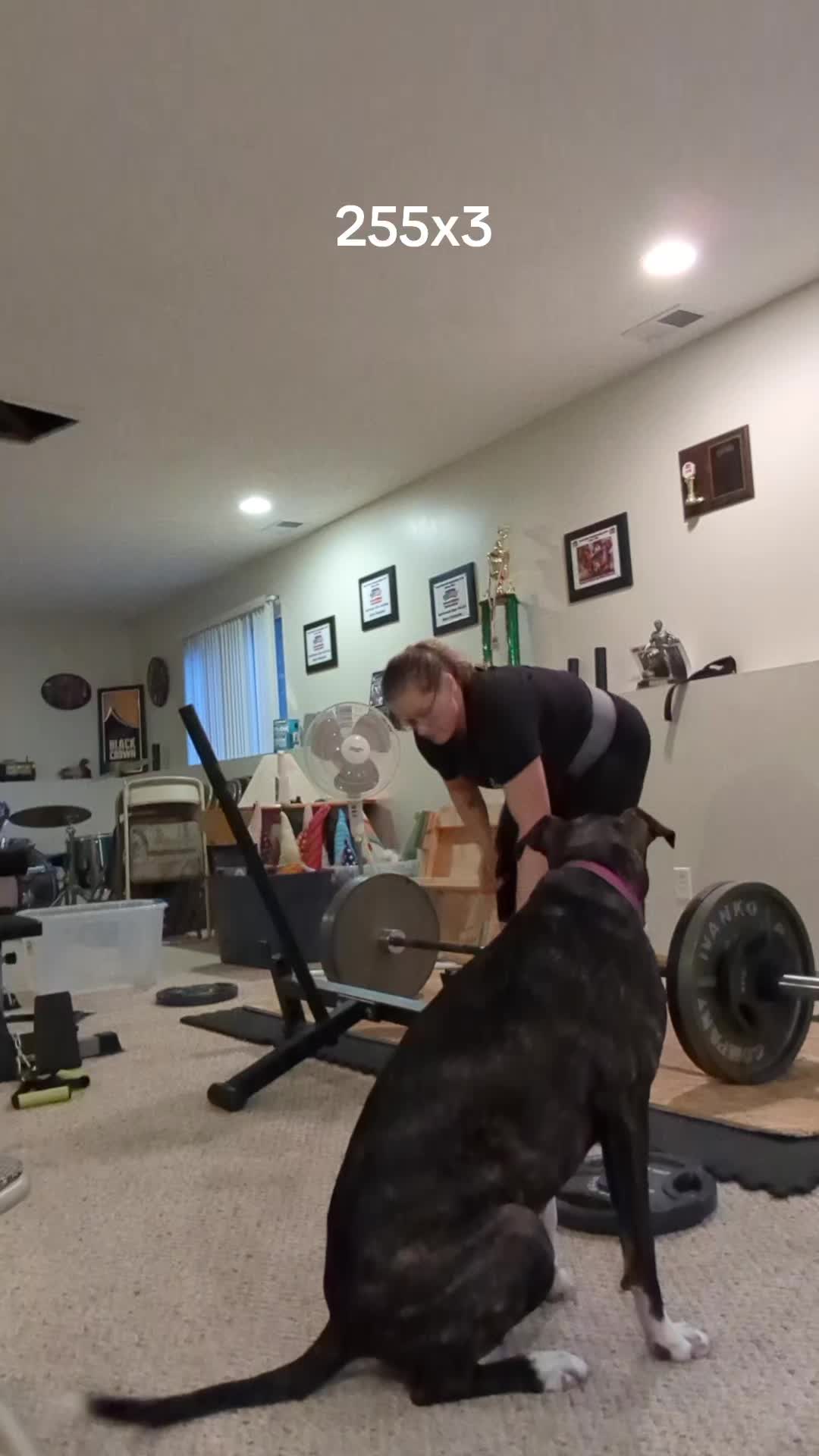 @SFTraining
