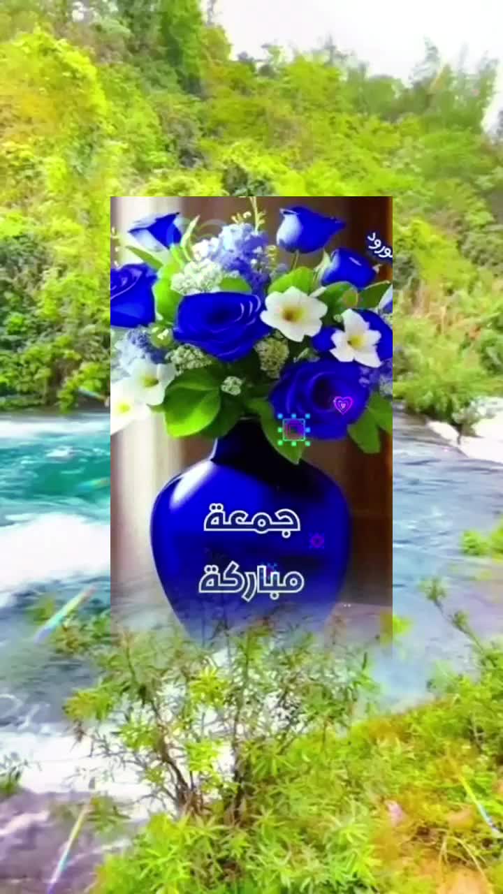 @التوليب🌷