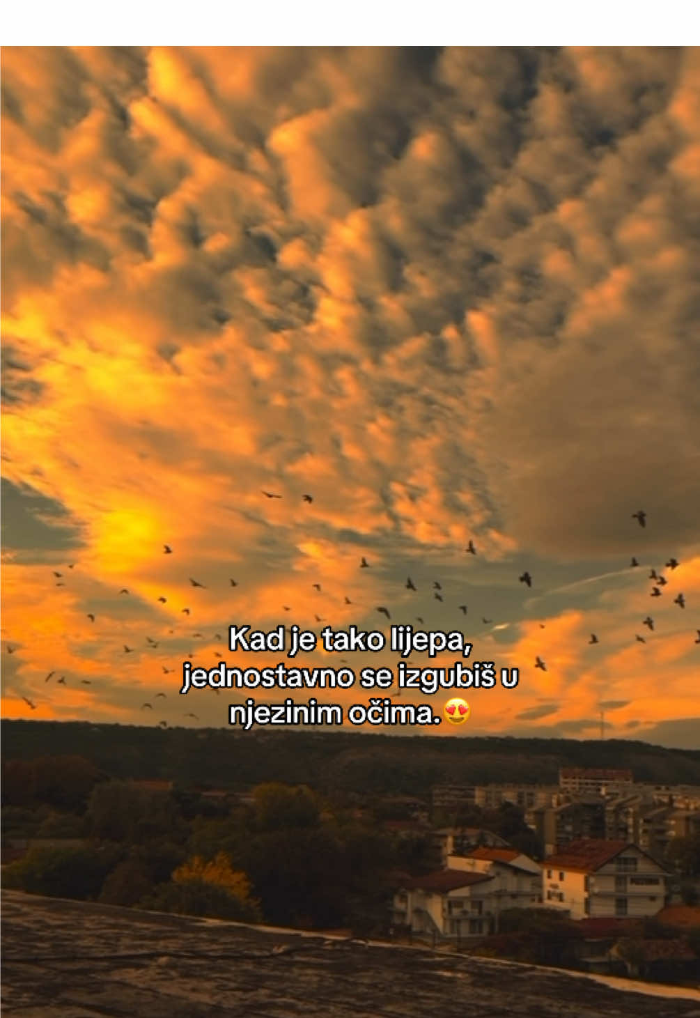 @vozačka dozvola