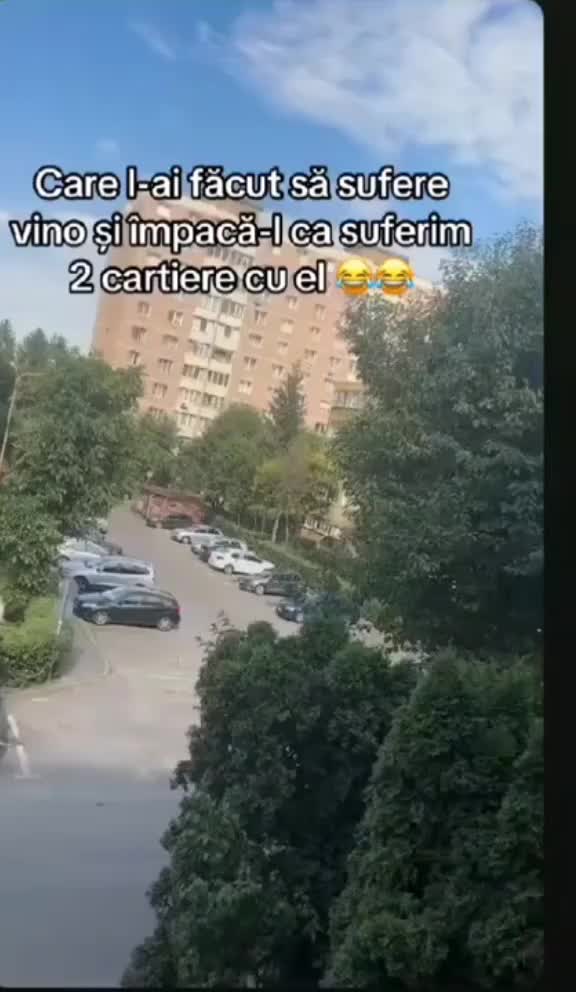 @Mihaela Ela