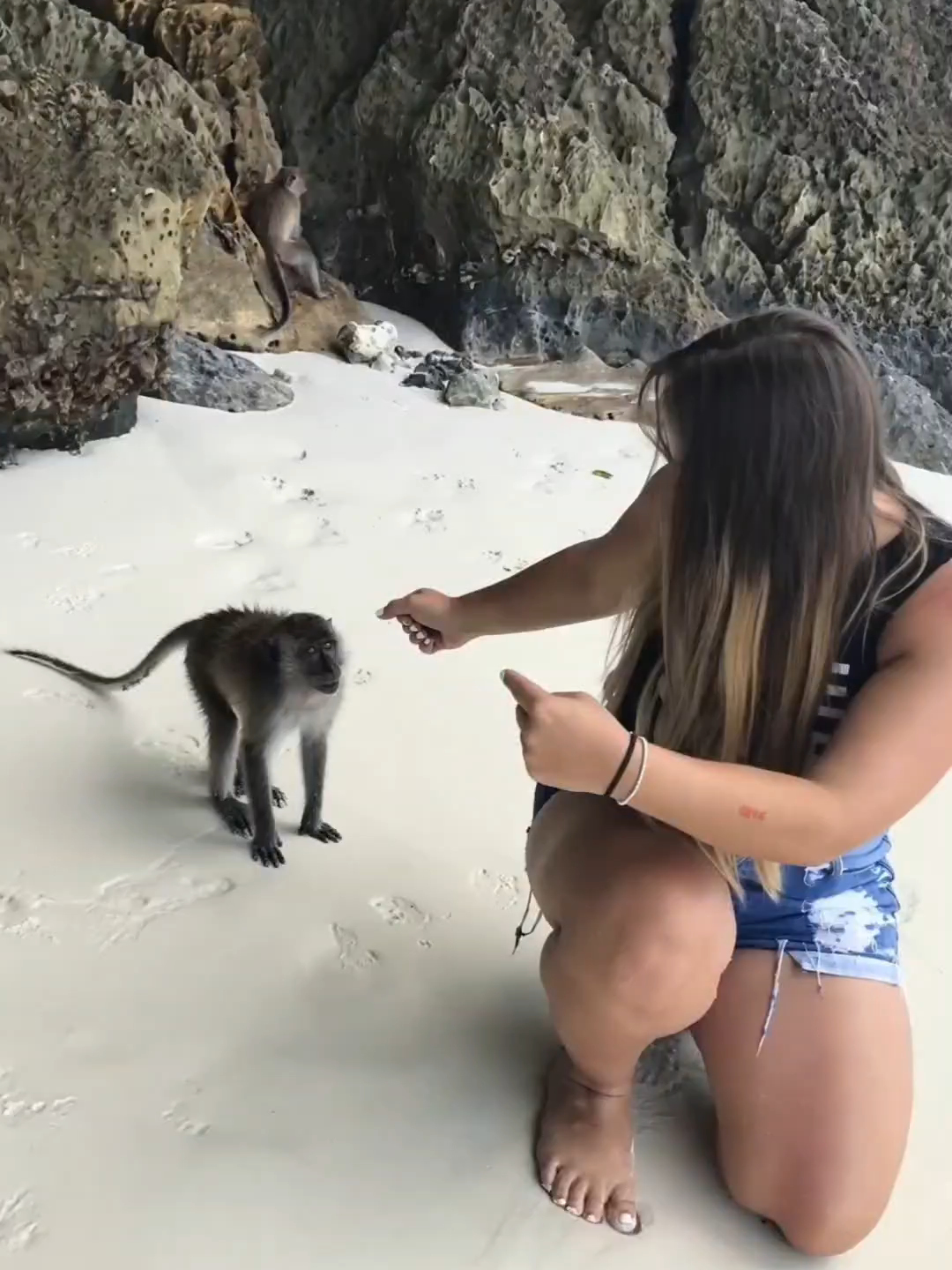 @עומר זיצר | Omerz Travel