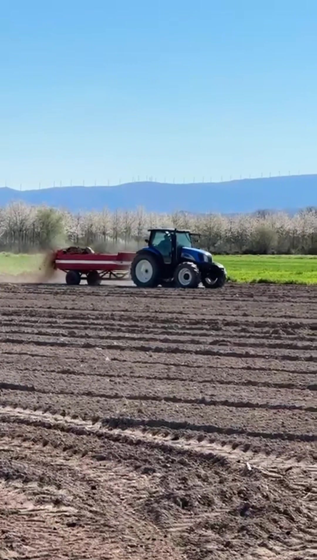 @RuralFlow🌾🐑🥔