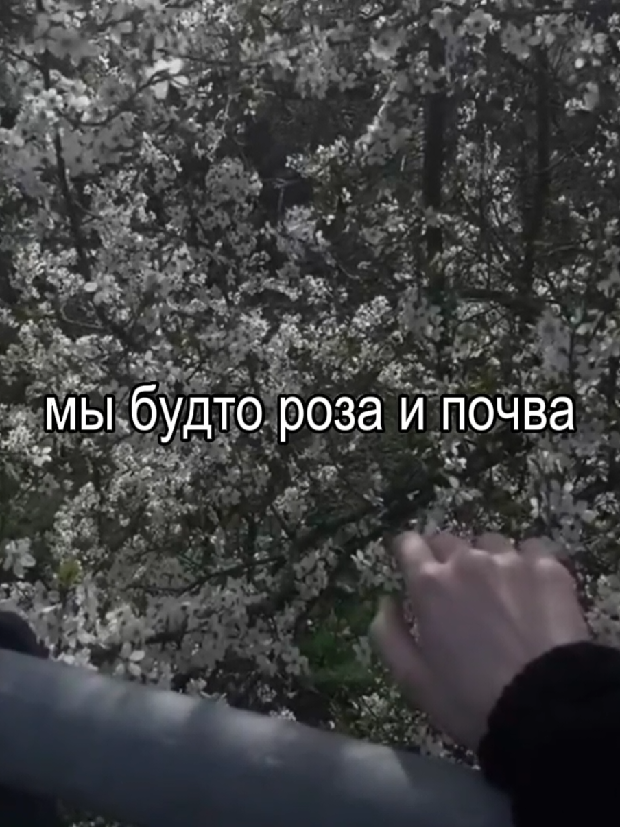 @паранойя