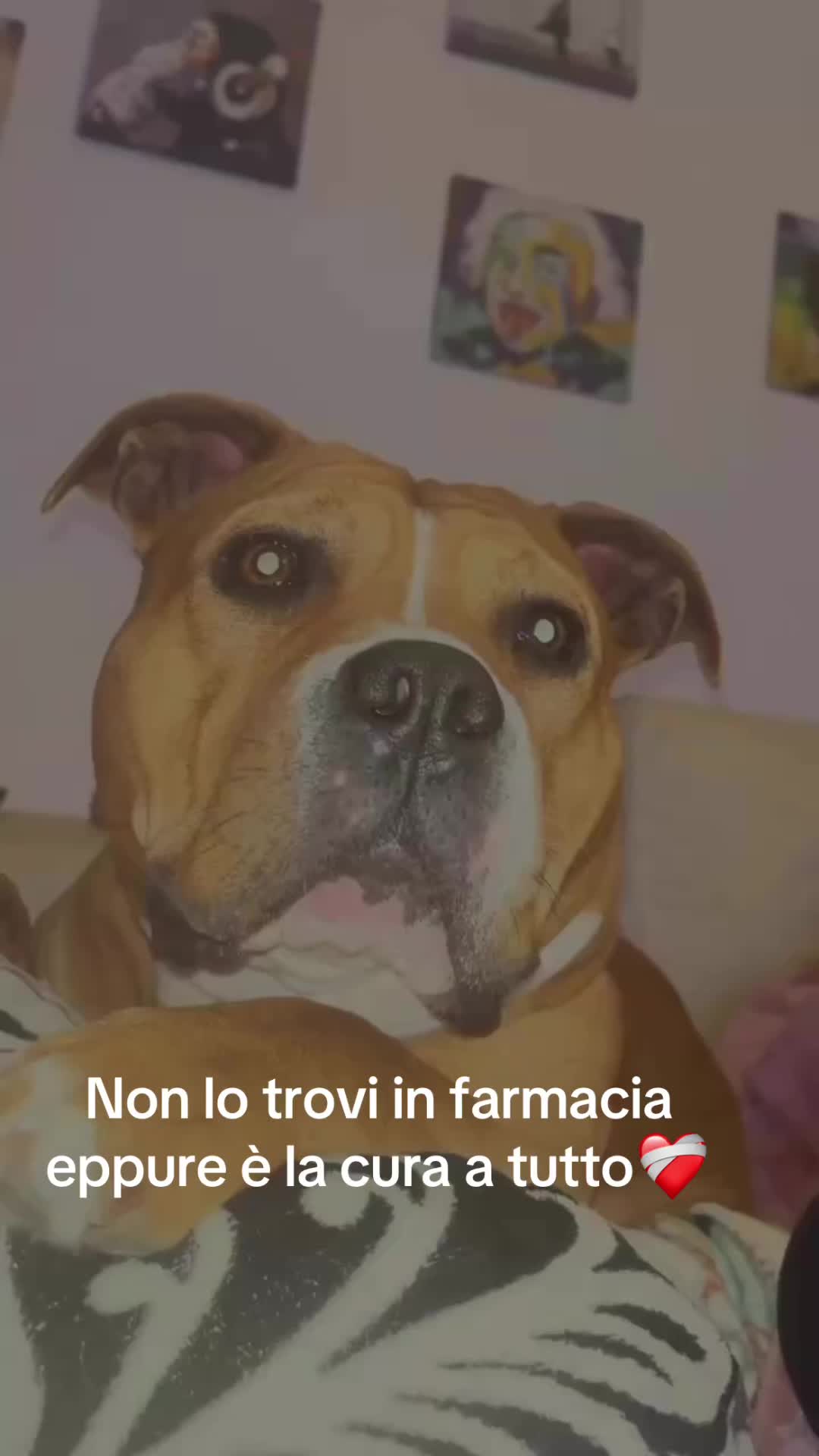 @Valevasia