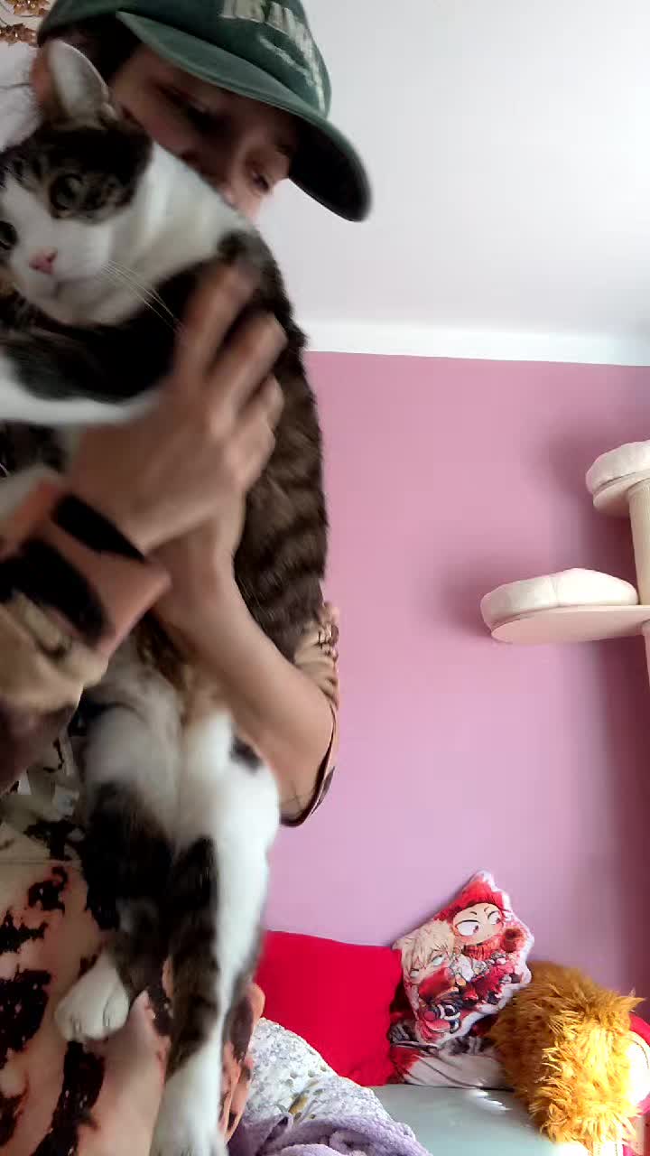 @black_cat_les