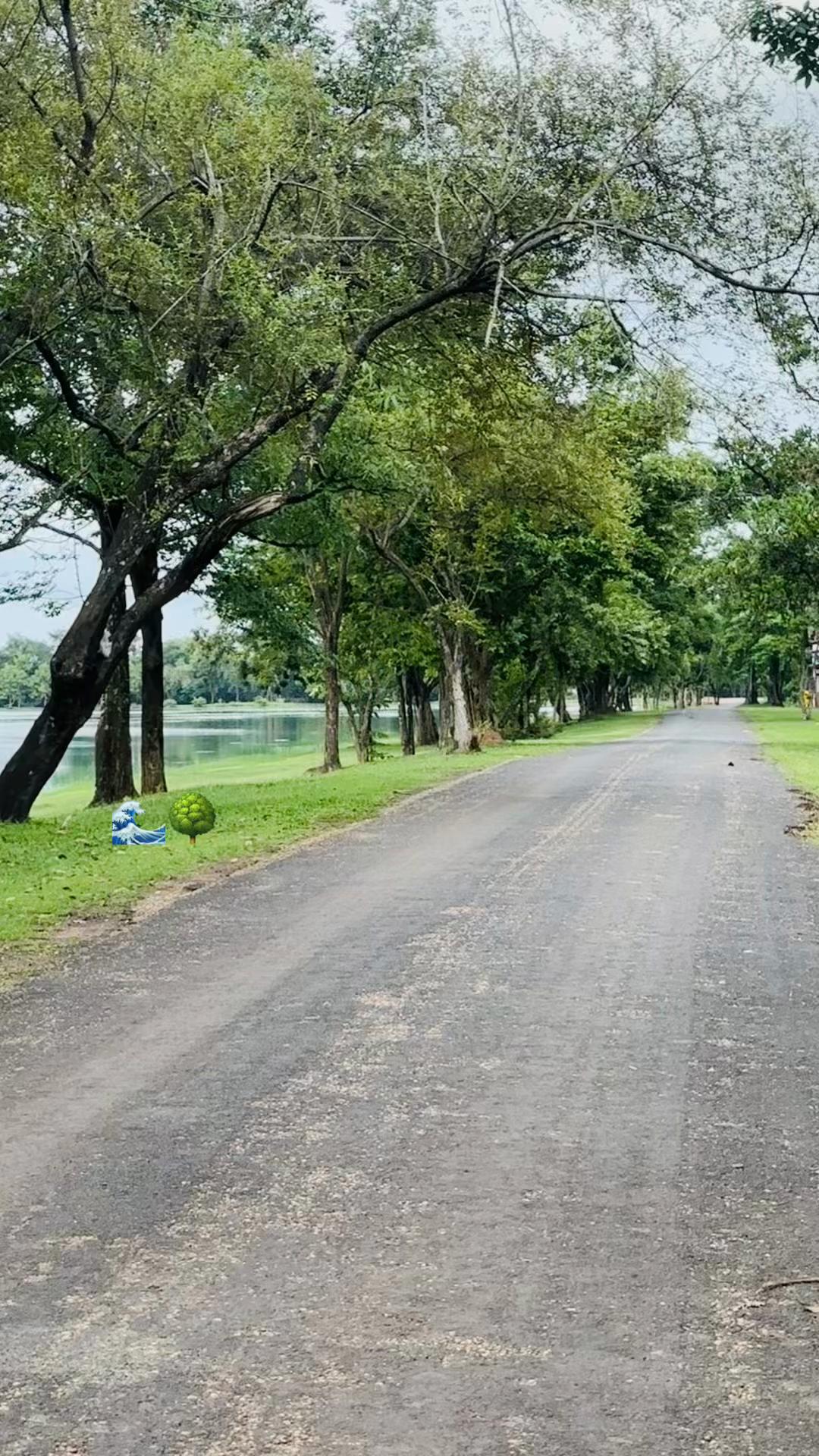 @ແມ່ຄ້າໄກ່_ (ຮັບຖ່າຍຮູບ)📸