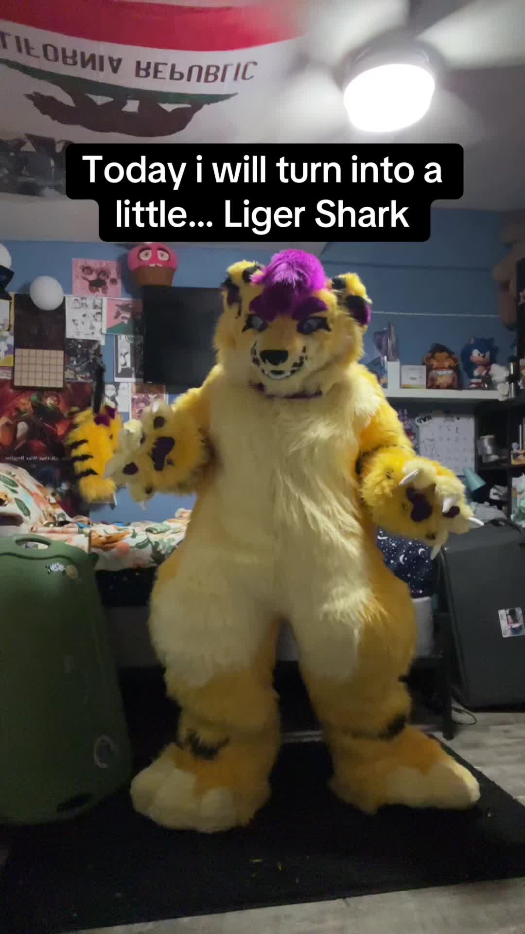 @Wolfyy!! ‼️‼️