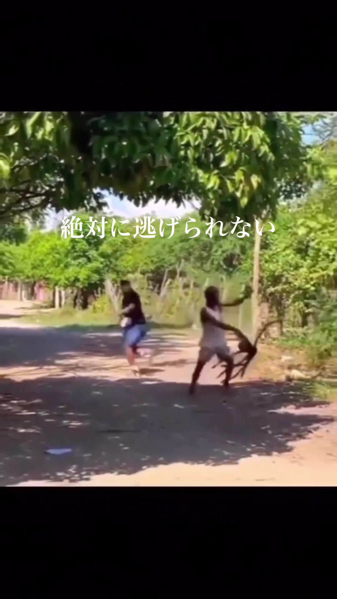 @海外オモロー動画まとめ