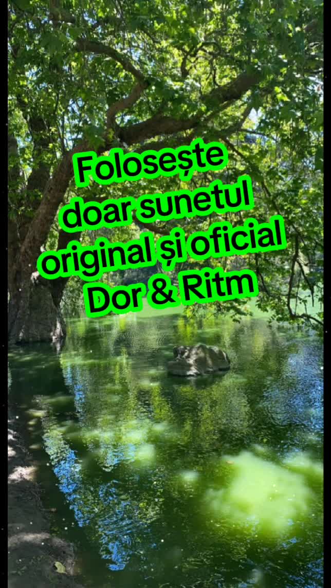 @Dor & Ritm