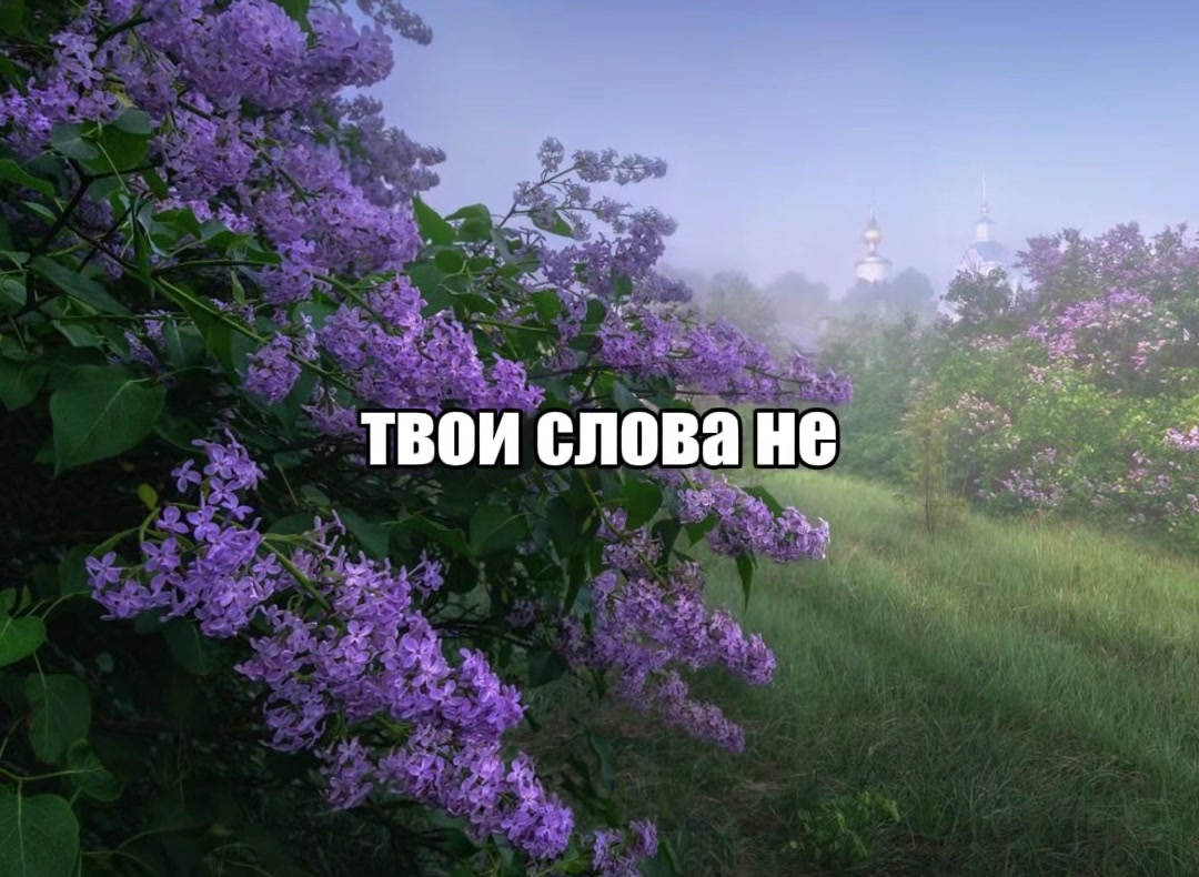 @luna