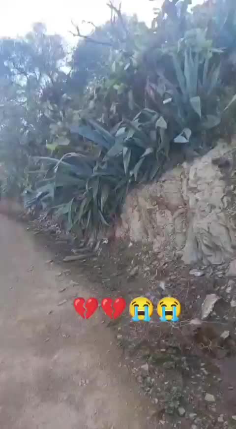 @Morad Málaga