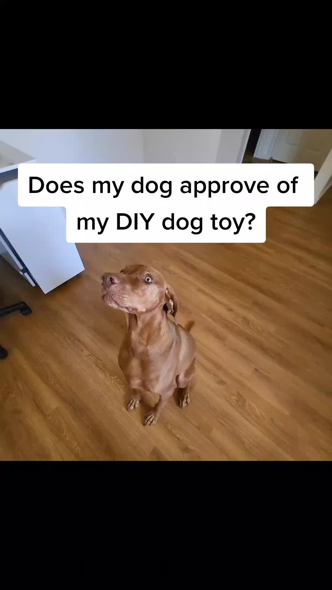 @SewingWithChantelle