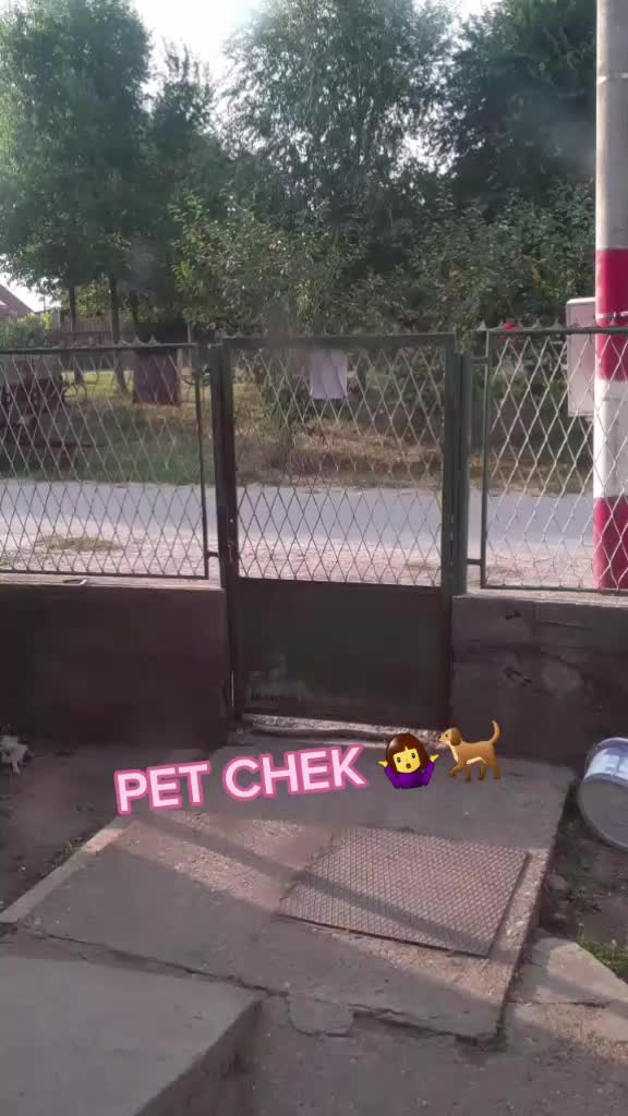 @love animals🥺❤