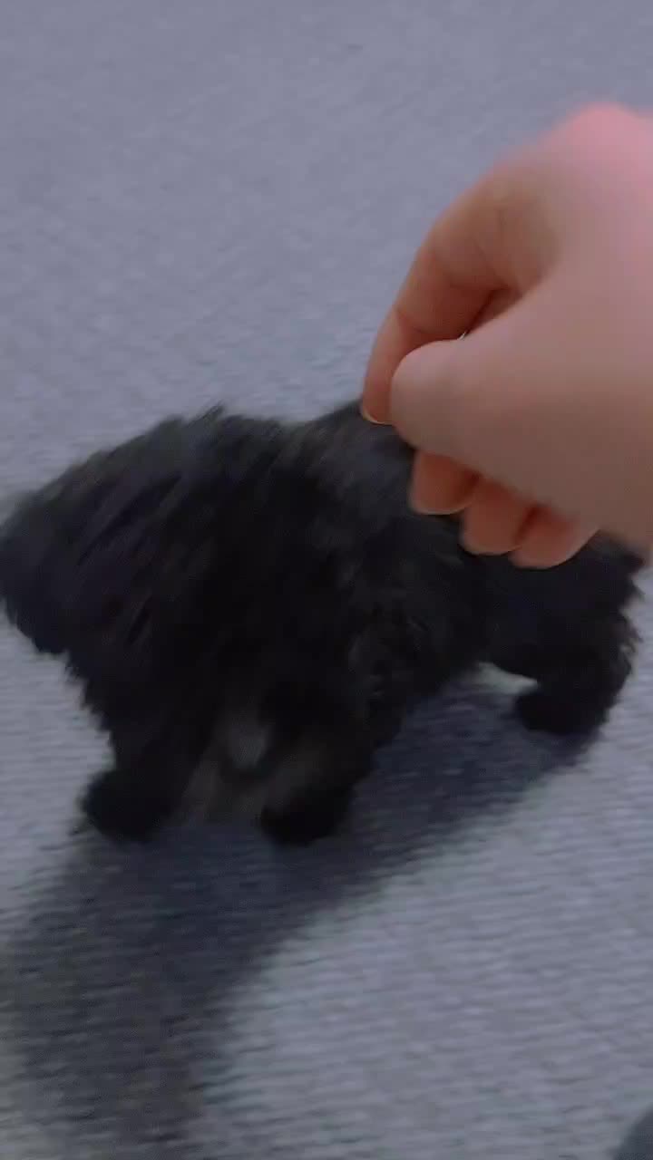 @땡롬쓰 해안경(?)