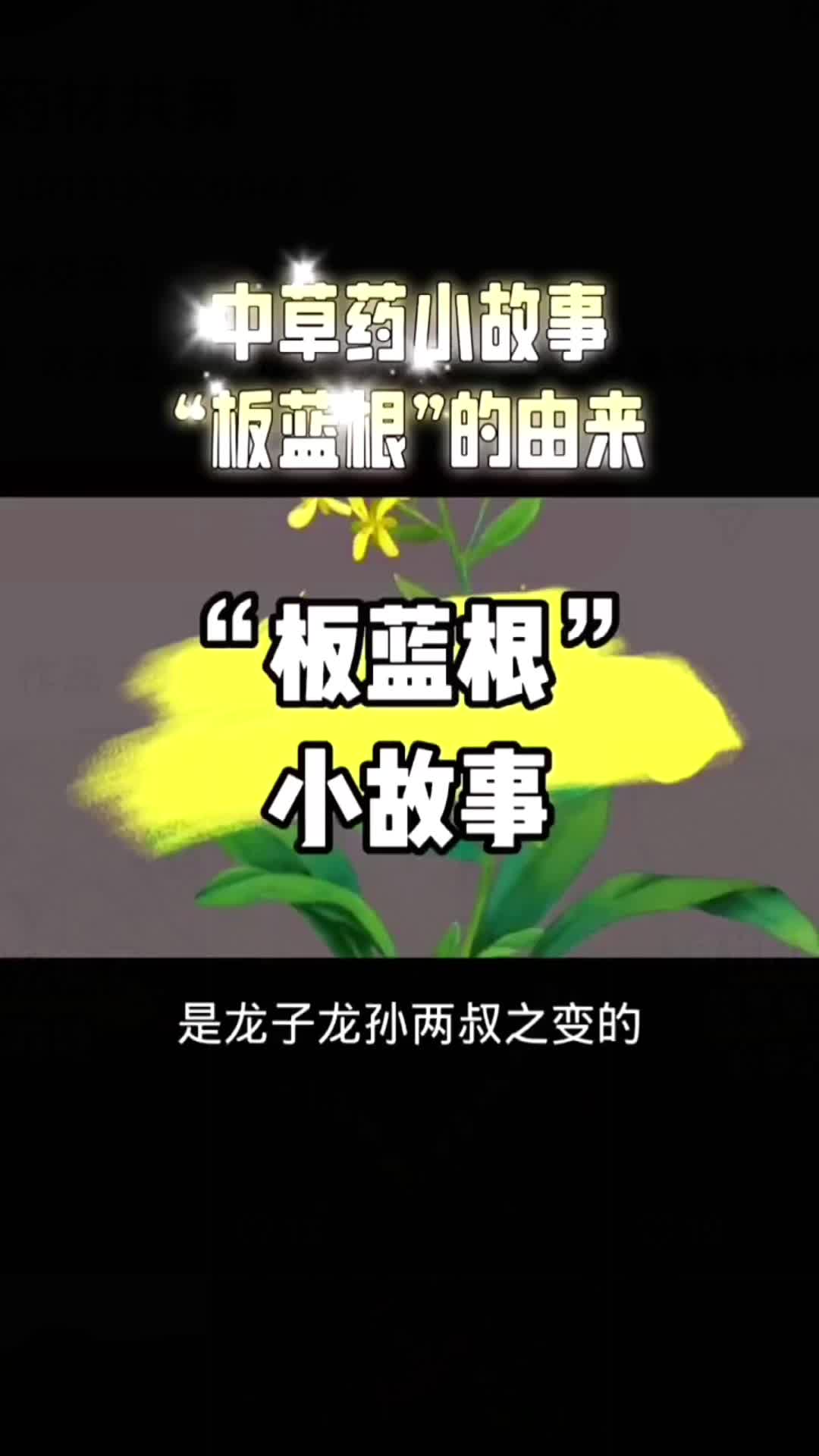@laotang中医世家