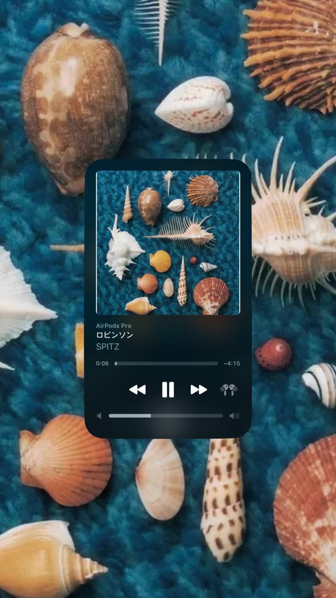@취향존중
