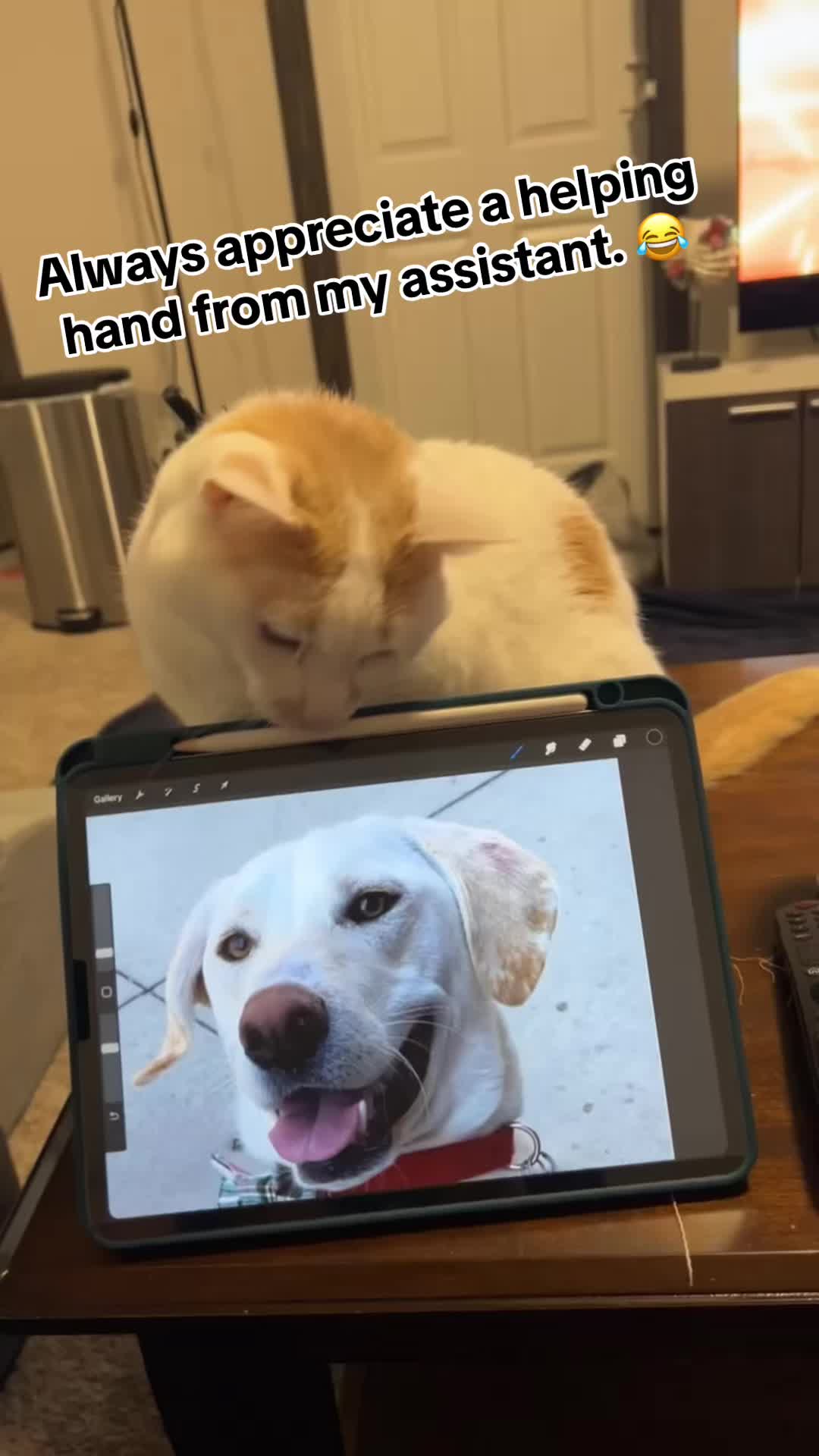 @Jessica.In.Stitches