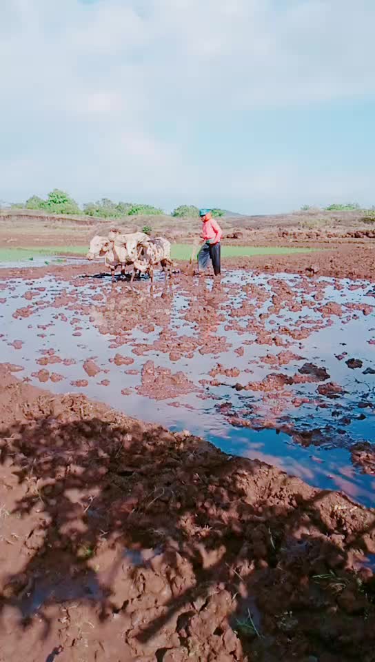 @konkanchi Pari🧚♂