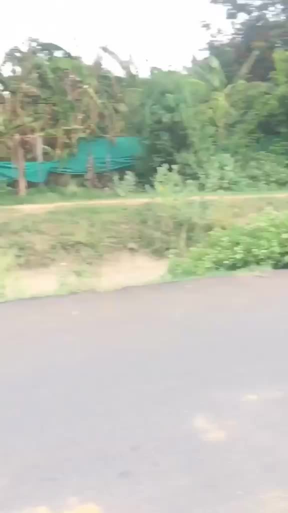@Kais Gujrati