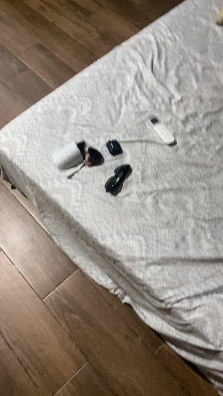 @EmiAguiRex