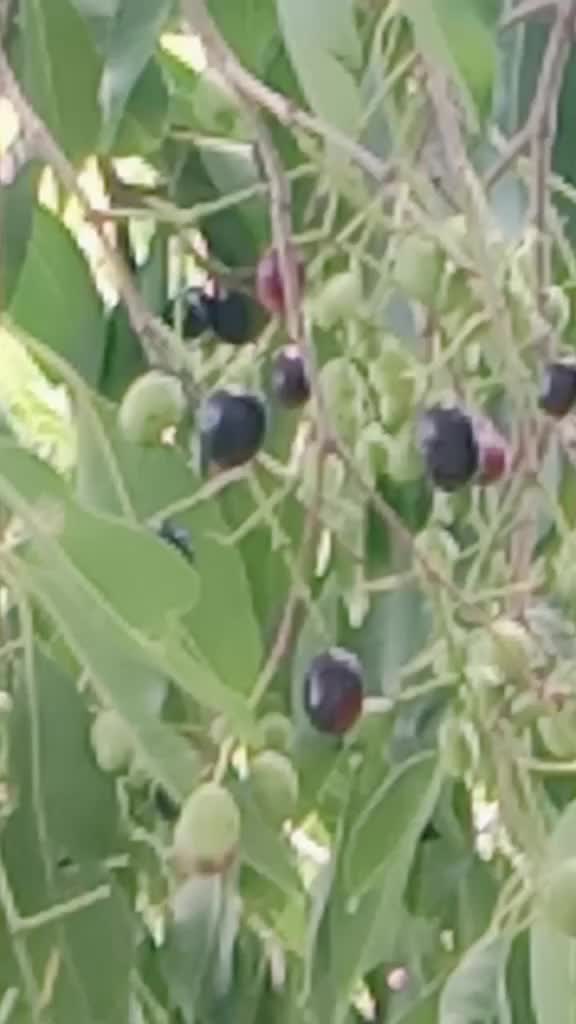 @user564288