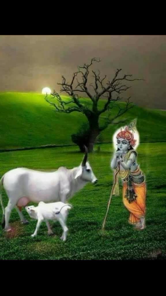 @Ashvin Kodiyatar
