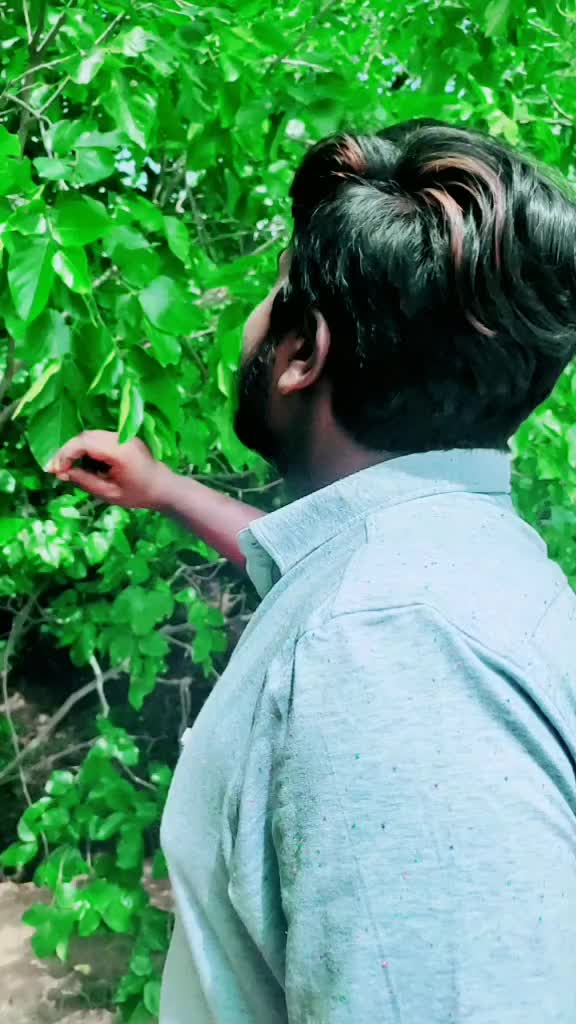 @Nithin Cherry