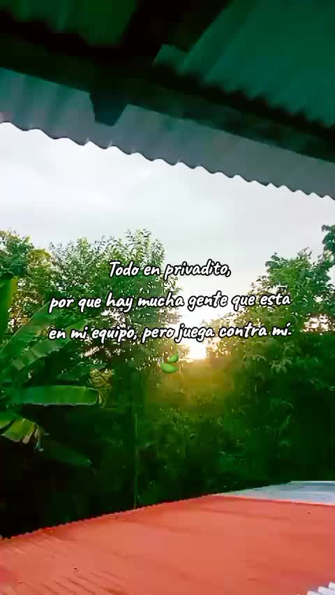 @Lety 💚🦋