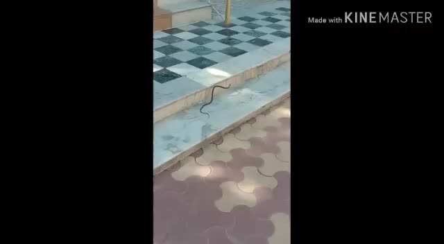 @EmYY_DeSai_4982