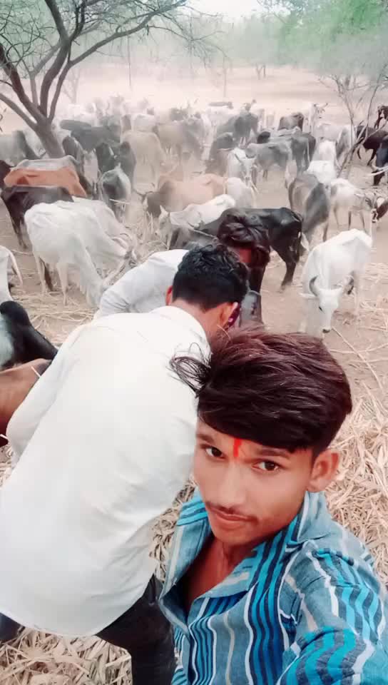 @Bharat Majiyatar42