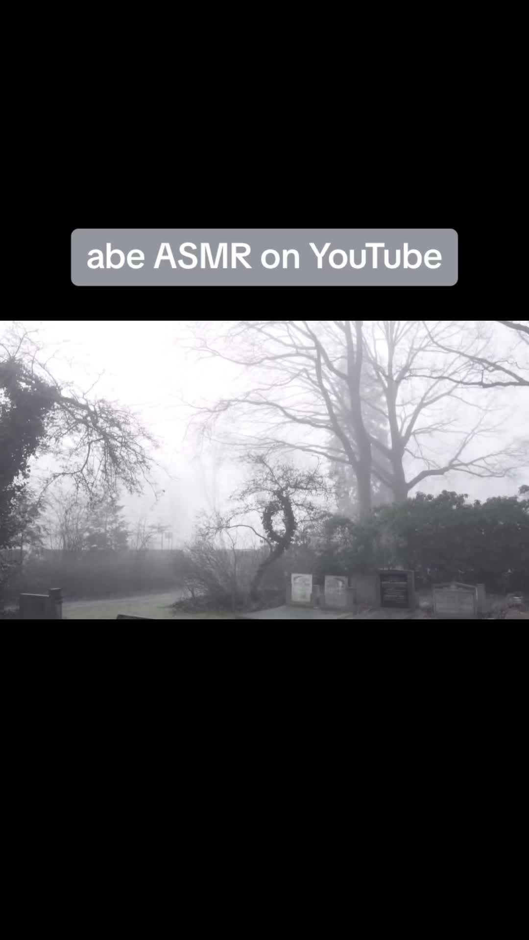 @ASMR on TikTok