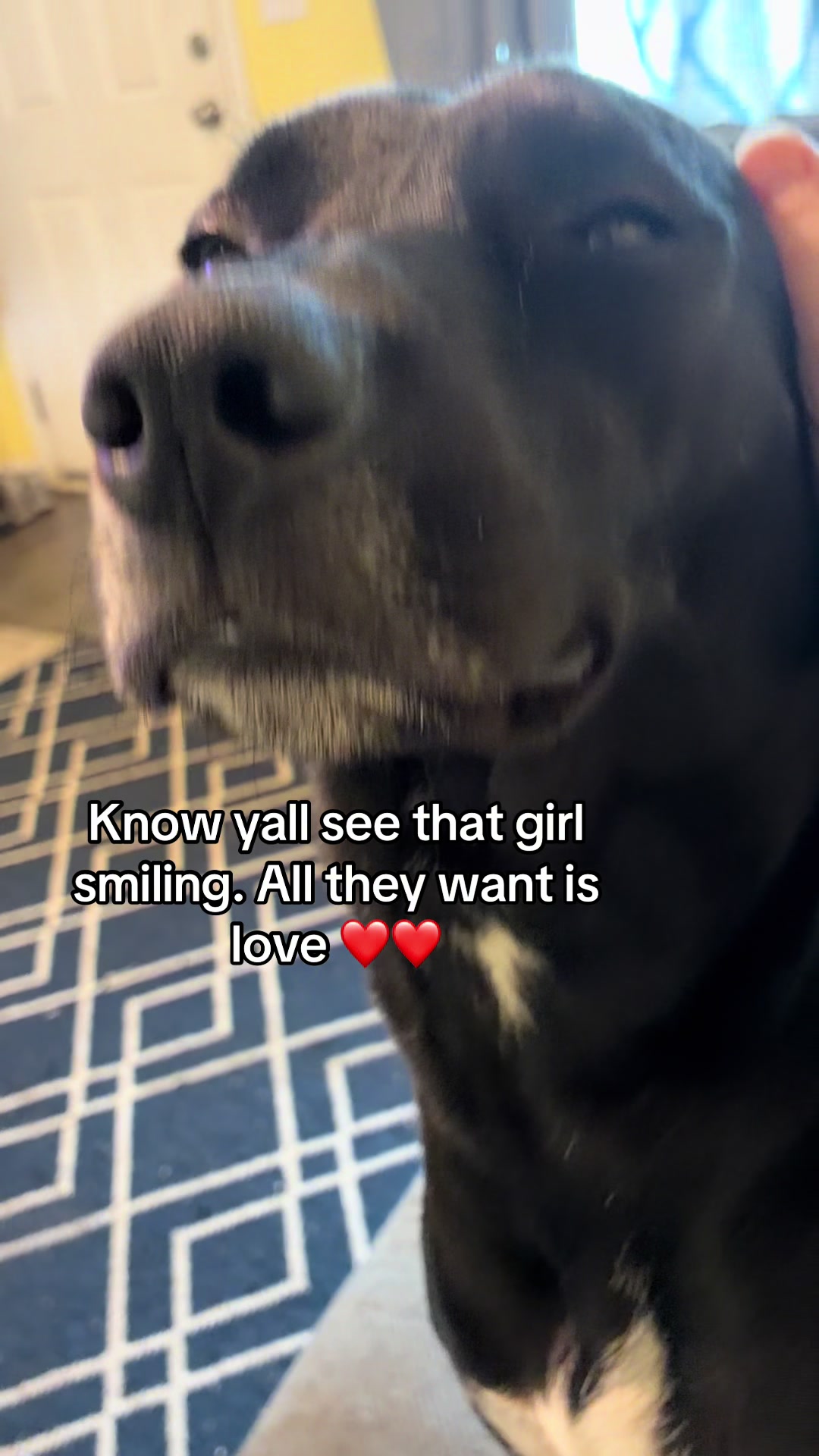 @kaydegotsober