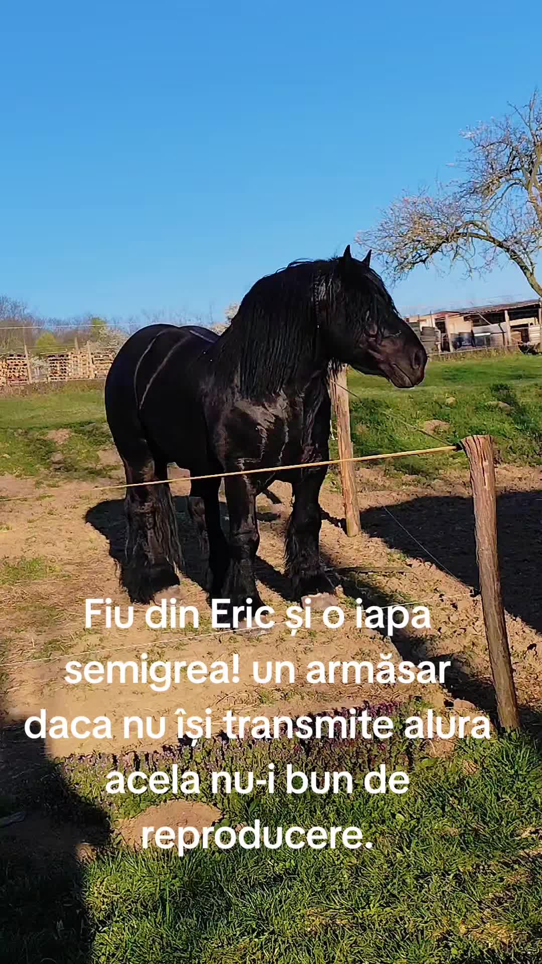 @Andrei Fernye