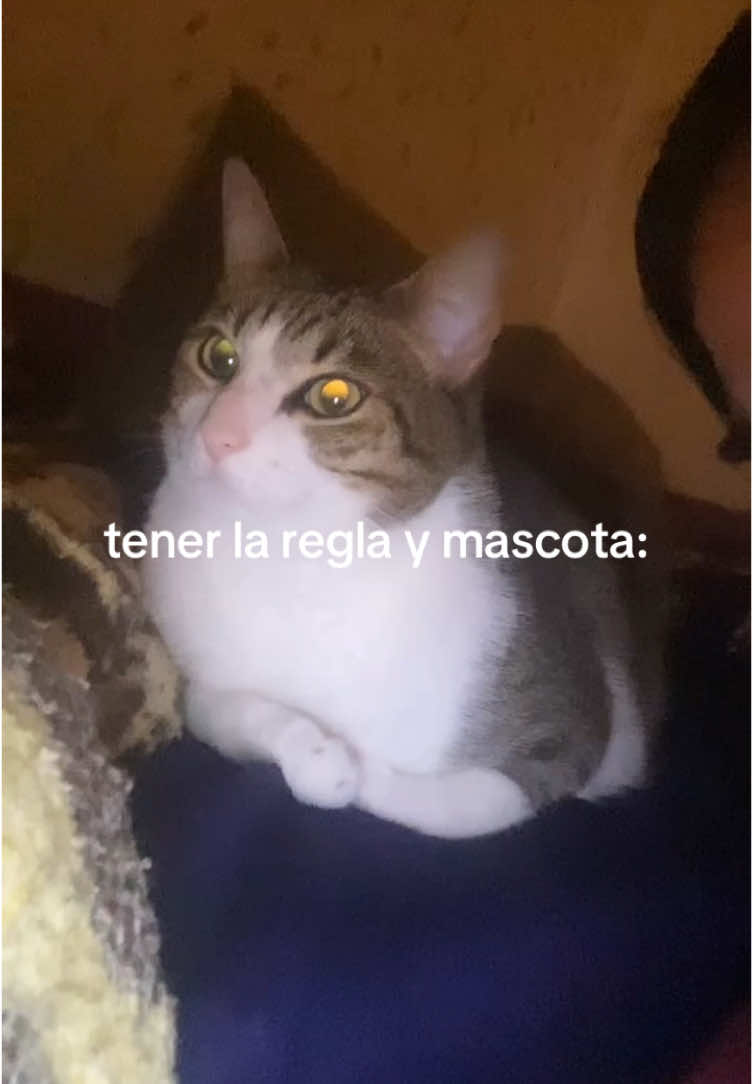 @aitziber