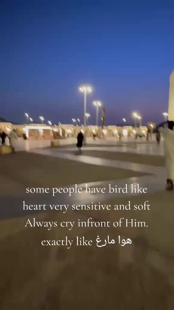 @dr khurma safi