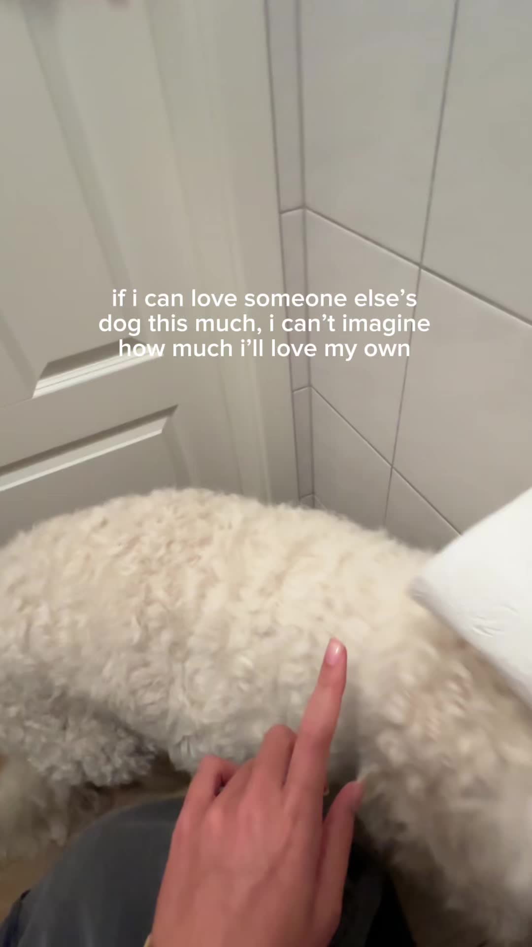 @alina