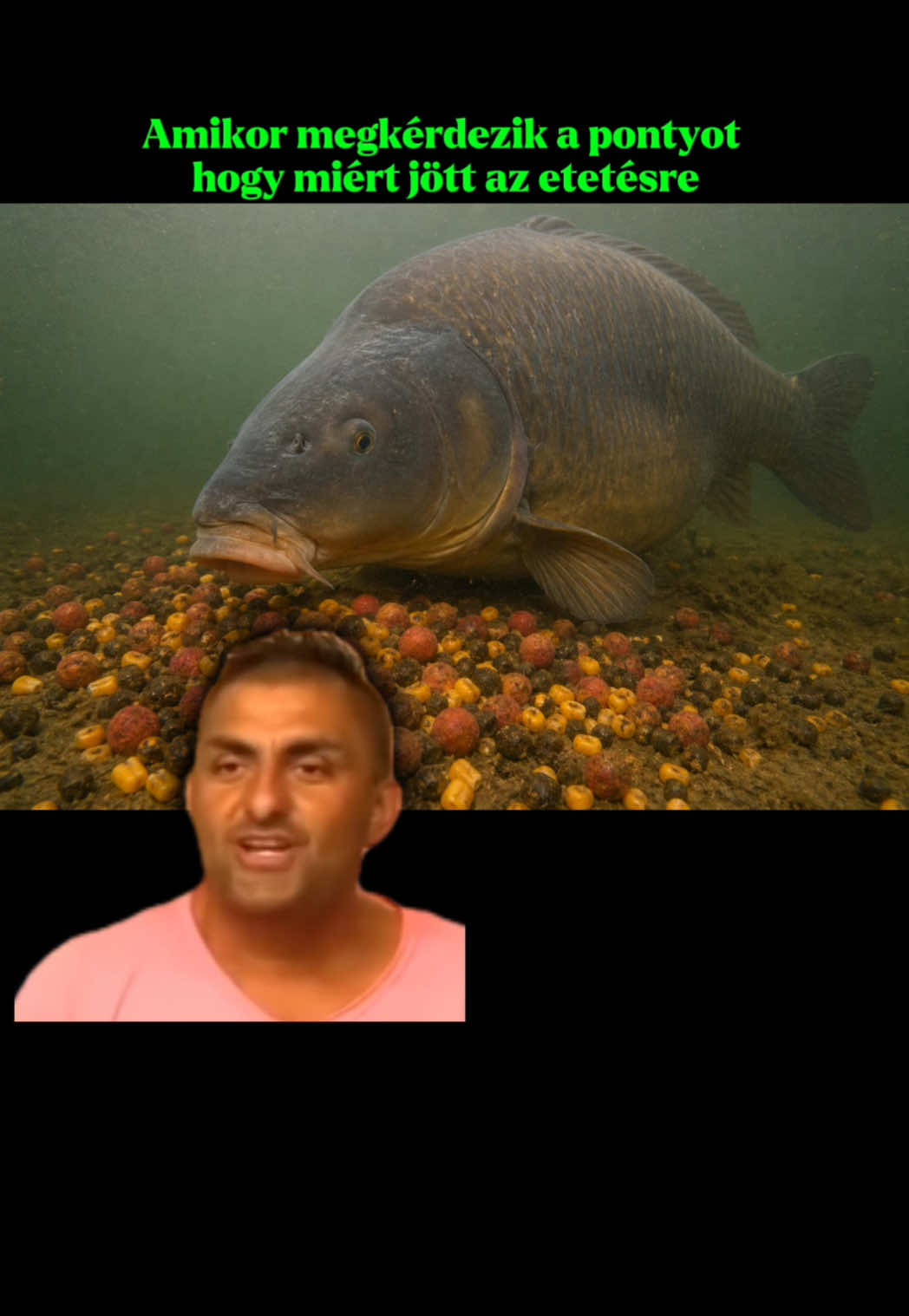 @Valter🐟