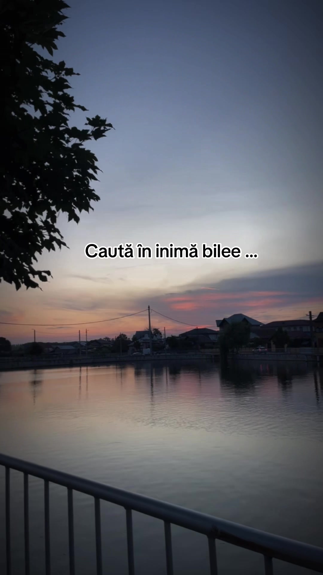 @Citație ❤️🩹
