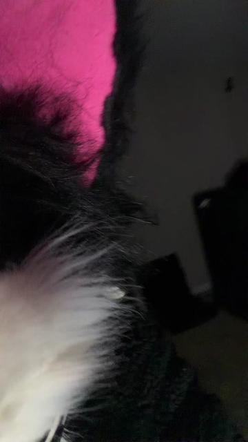 @Tifu 🔜 MFF