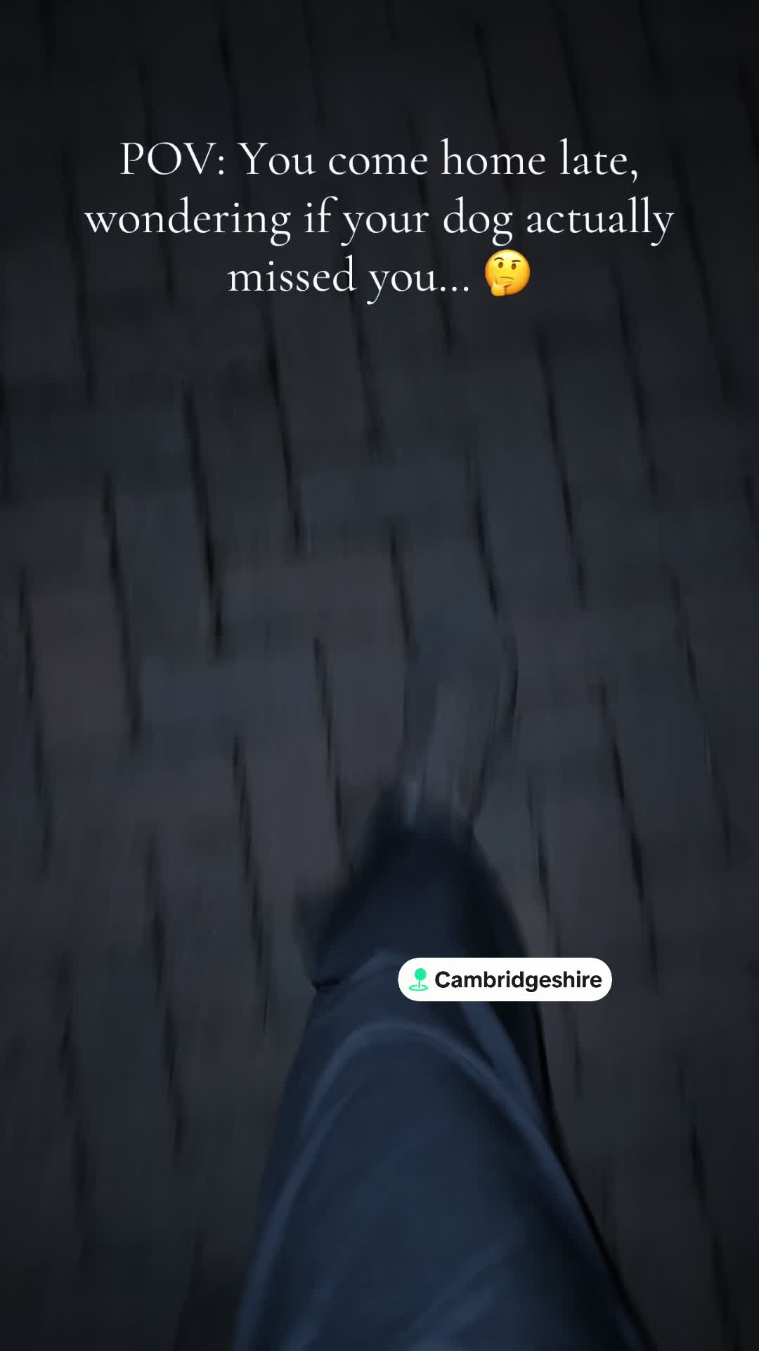 @wszystko🐁