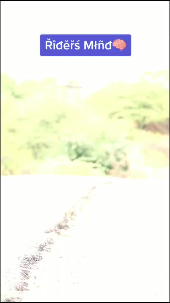 @220 lover 🏍