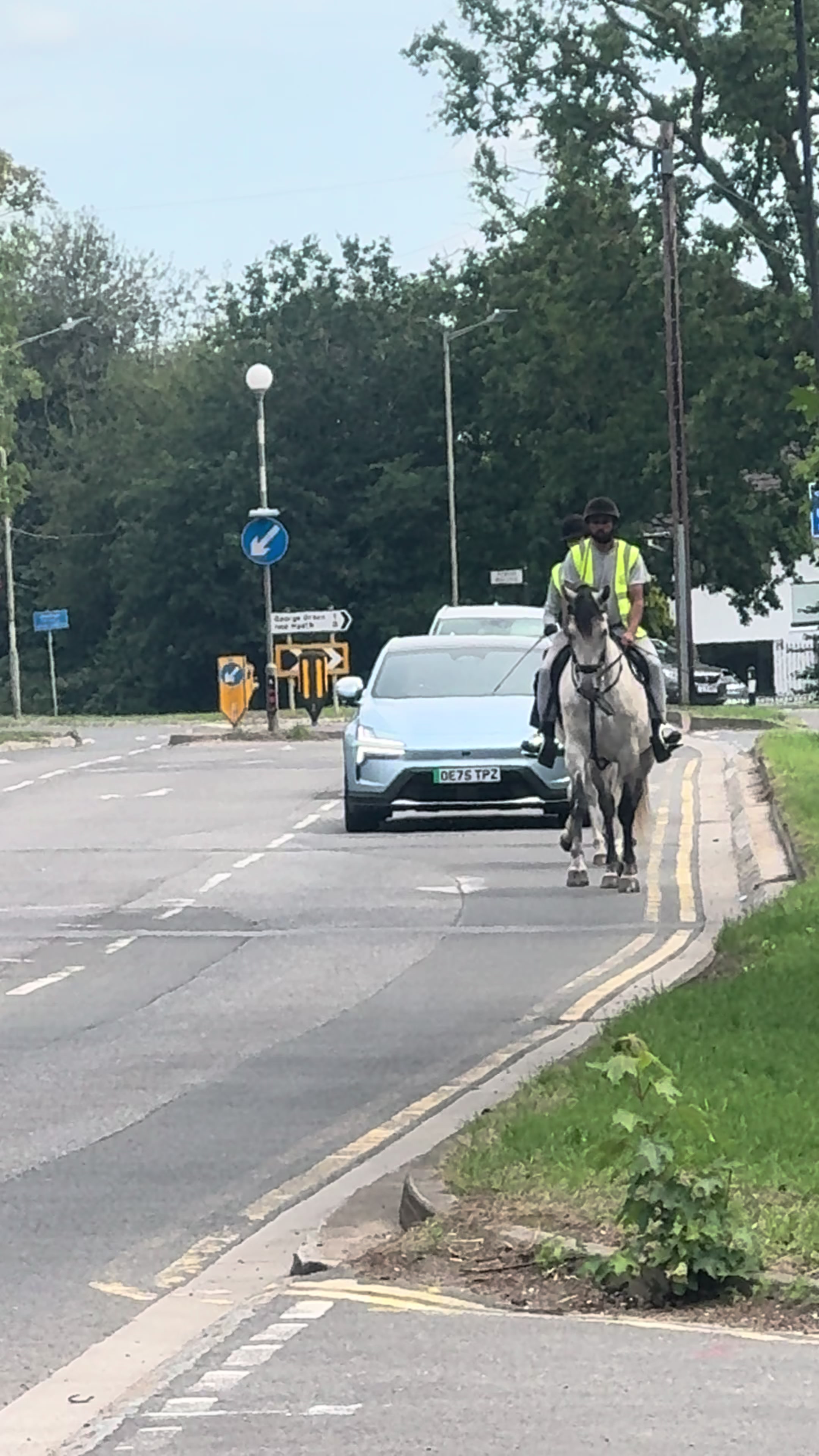 @Slough horses