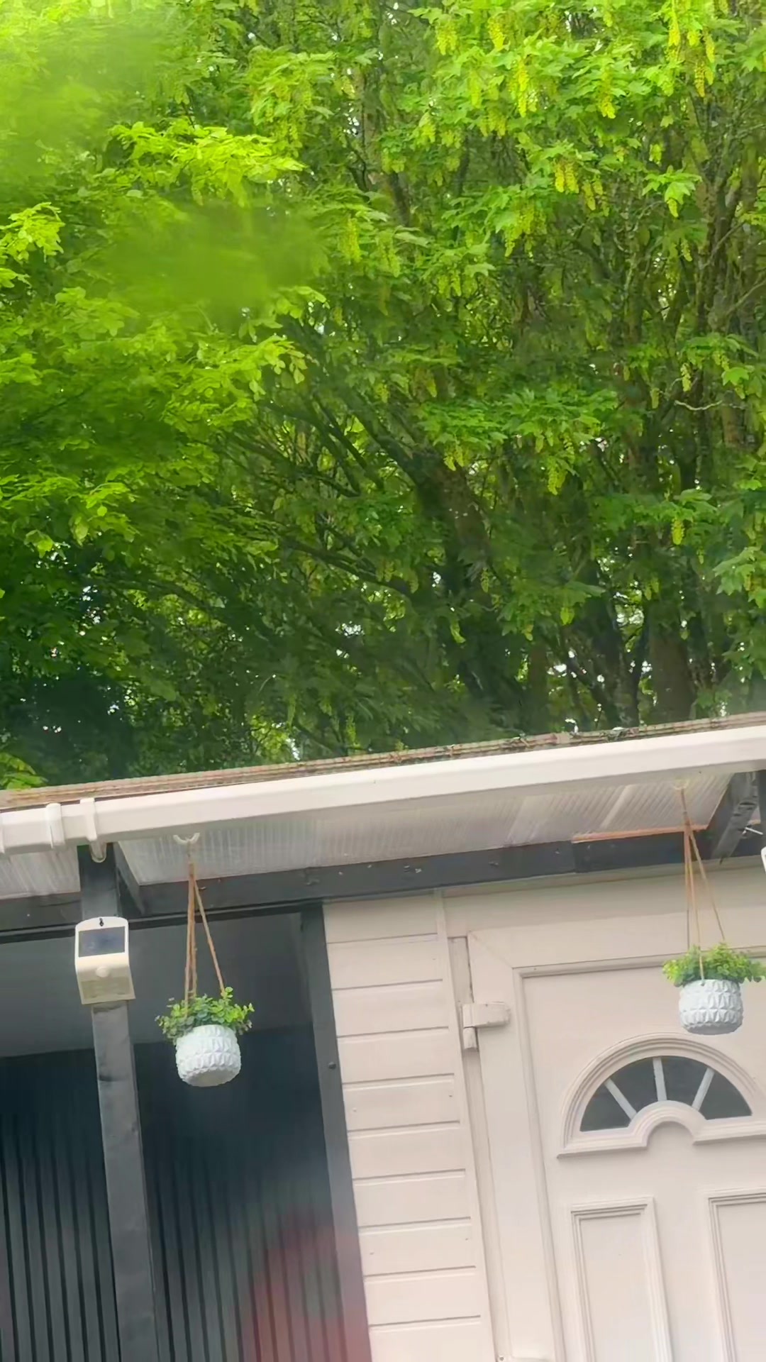 @ف🕊️