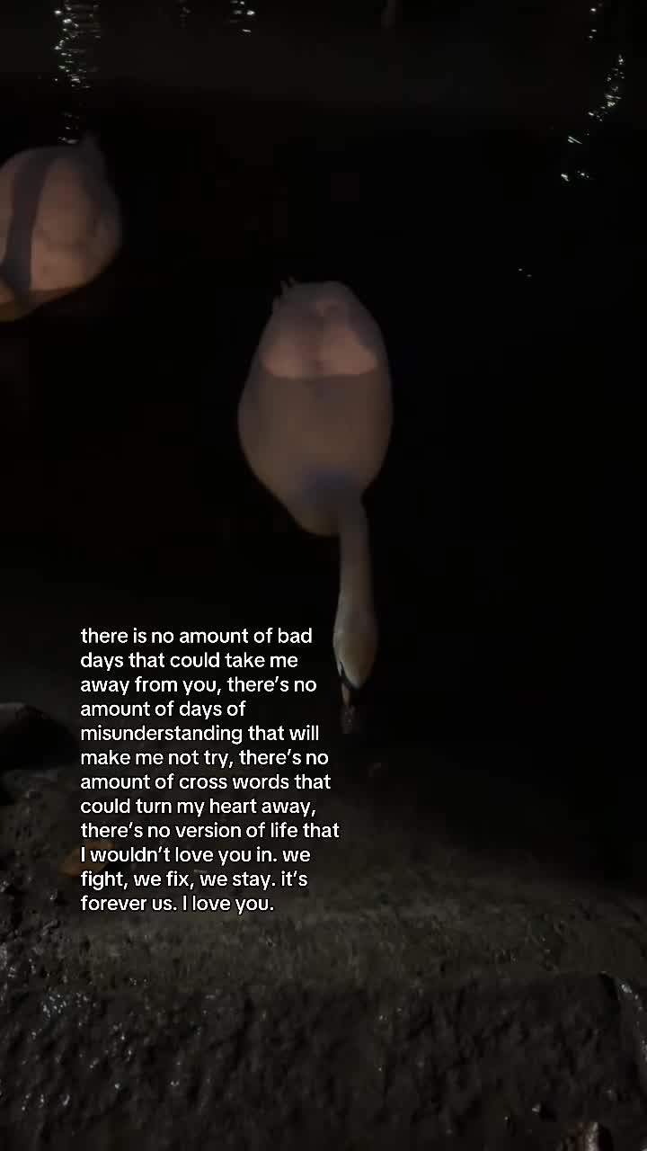 @A🖤.