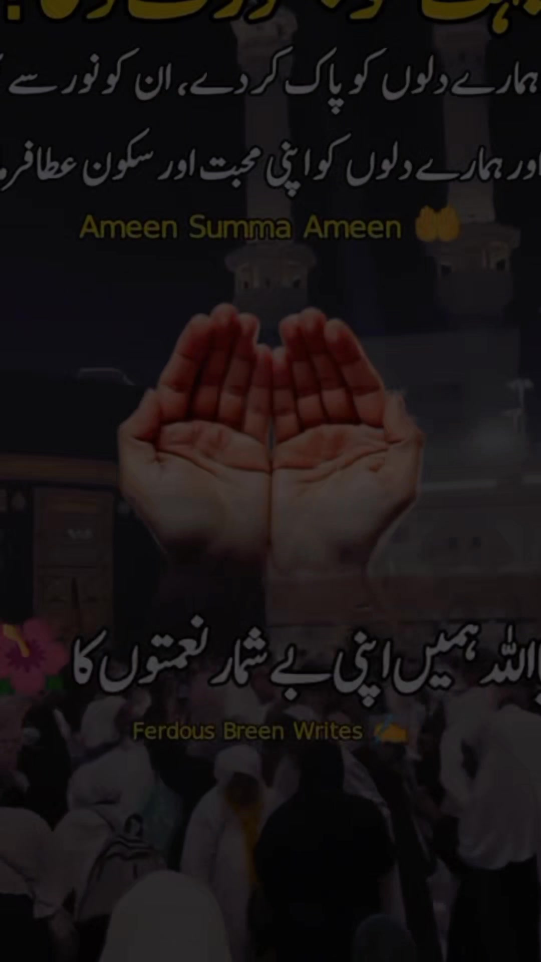 @amaan1949